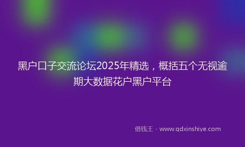 黑户口子交流论坛2025年精选，概括五个无视逾期大数据花户黑户平台