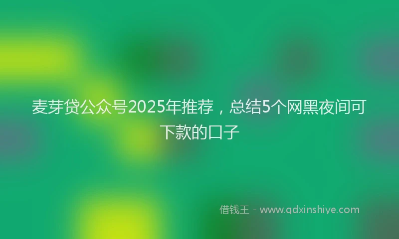 麦芽贷公众号2025年推荐，总结5个网黑夜间可下款的口子
