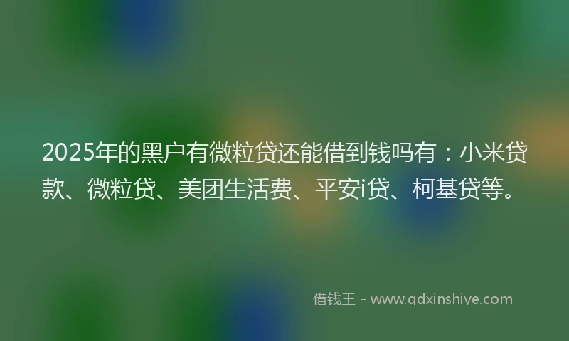 2025年的黑户有微粒贷还能借到钱吗有：小米贷款、微粒贷、美团生活费、平安i贷、柯基贷等。
