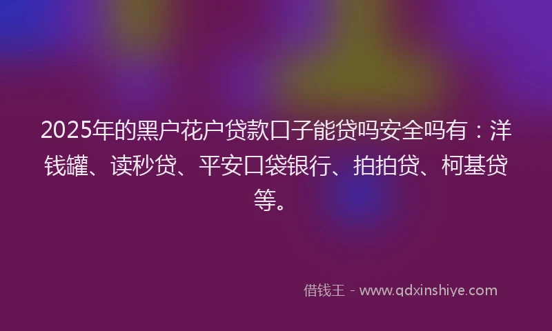 2025年的黑户花户贷款口子能贷吗安全吗有：洋钱罐、读秒贷、平安口袋银行、拍拍贷、柯基贷等。