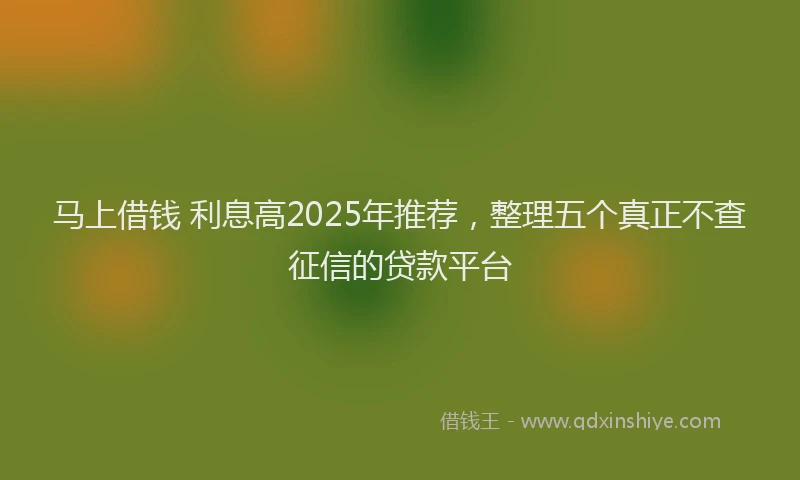 马上借钱 利息高2025年推荐，整理五个真正不查征信的贷款平台