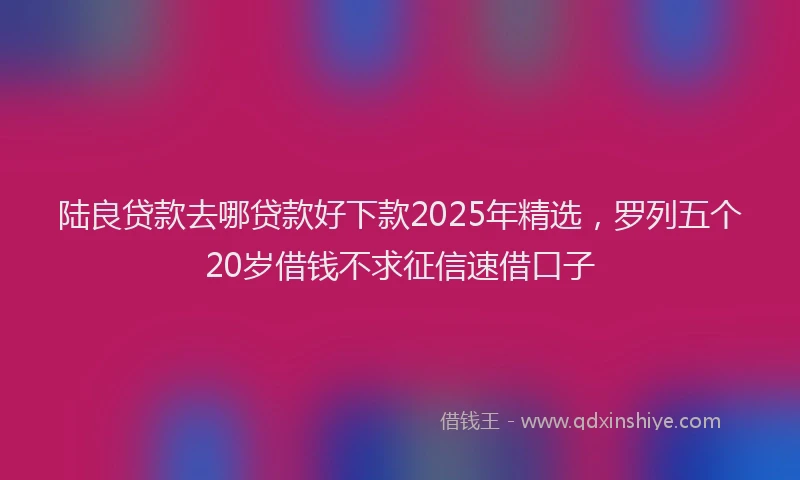 陆良贷款去哪贷款好下款2025年精选，罗列五个20岁借钱不求征信速借口子