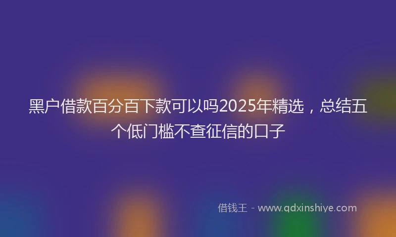 黑户借款百分百下款可以吗2025年精选，总结五个低门槛不查征信的口子
