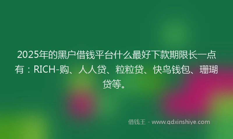 2025年的黑户借钱平台什么最好下款期限长一点有：RICH-购、人人贷、粒粒贷、快鸟钱包、珊瑚贷等。