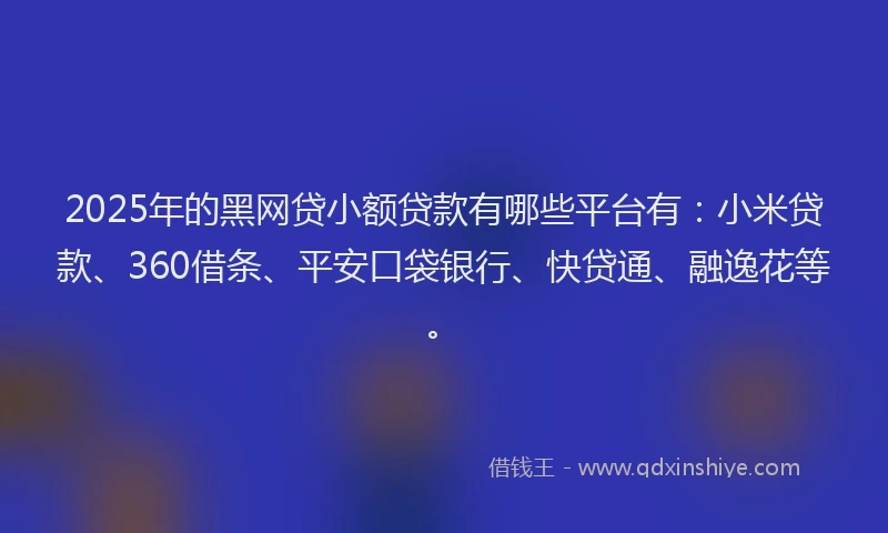 2025年的黑网贷小额贷款有哪些平台有：小米贷款、360借条、平安口袋银行、快贷通、融逸花等。