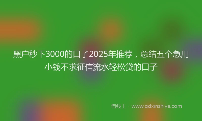 黑户秒下3000的口子2025年推荐，总结五个急用小钱不求征信流水轻松贷的口子