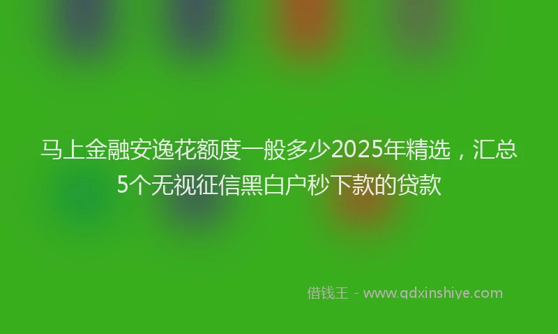 马上金融安逸花额度一般多少2025年精选，汇总5个无视征信黑白户秒下款的贷款