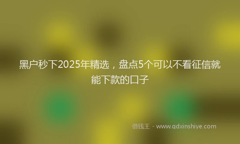 黑户秒下2025年精选，盘点5个可以不看征信就能下款的口子