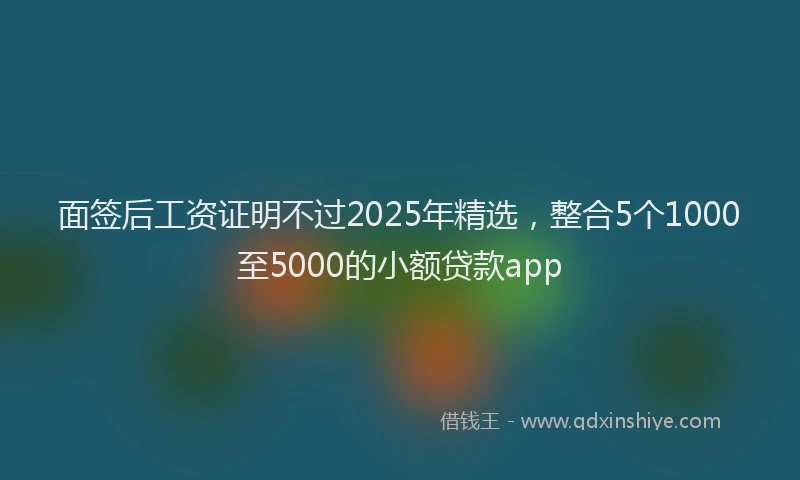 面签后工资证明不过2025年精选，整合5个1000至5000的小额贷款app