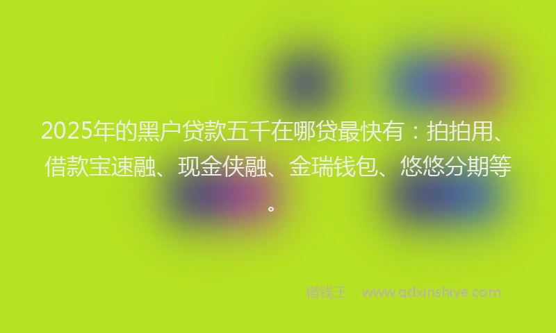 2025年的黑户贷款五千在哪贷最快有：拍拍用、借款宝速融、现金侠融、金瑞钱包、悠悠分期等。