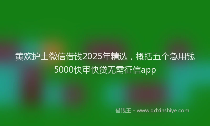 黄欢护士微信借钱2025年精选，概括五个急用钱5000快审快贷无需征信app