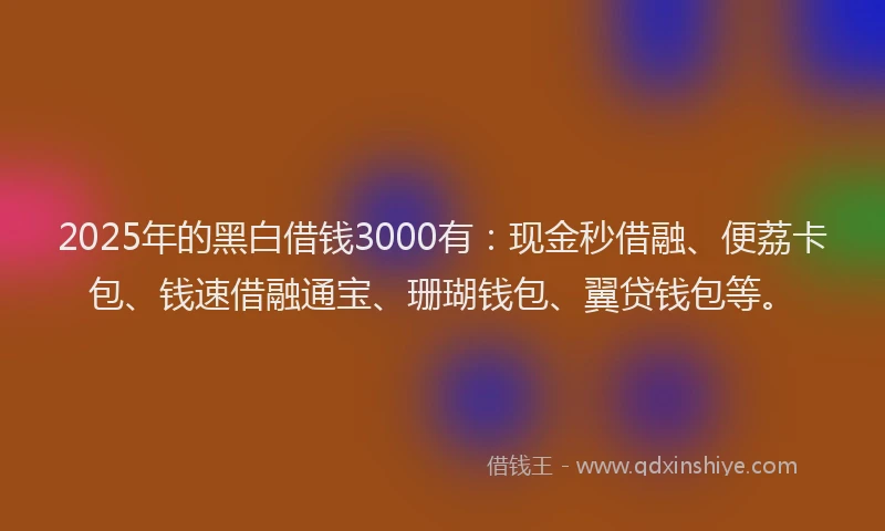 2025年的黑白借钱3000有：现金秒借融、便荔卡包、钱速借融通宝、珊瑚钱包、翼贷钱包等。