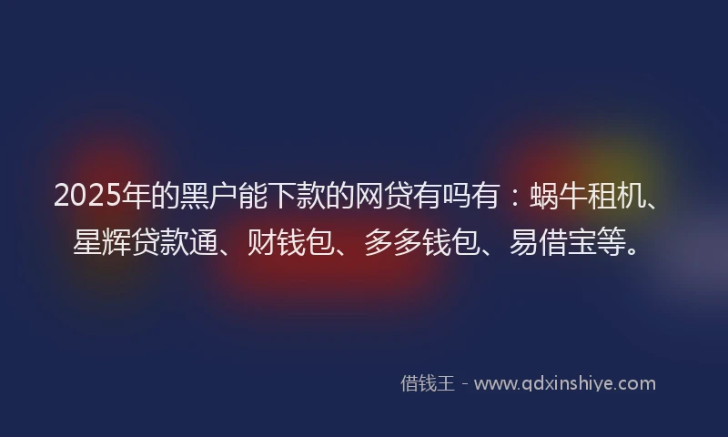 2025年的黑户能下款的网贷有吗有：蜗牛租机、星辉贷款通、财钱包、多多钱包、易借宝等。