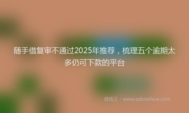 随手借复审不通过2025年推荐，梳理五个逾期太多仍可下款的平台