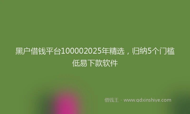 黑户借钱平台100002025年精选，归纳5个门槛低易下款软件