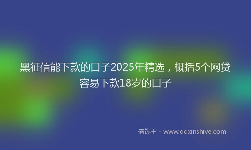 黑征信能下款的口子2025年精选，概括5个网贷容易下款18岁的口子