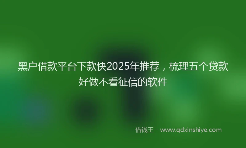 黑户借款平台下款快2025年推荐，梳理五个贷款好做不看征信的软件
