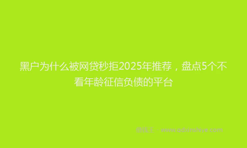 黑户为什么被网贷秒拒2025年推荐，盘点5个不看年龄征信负债的平台