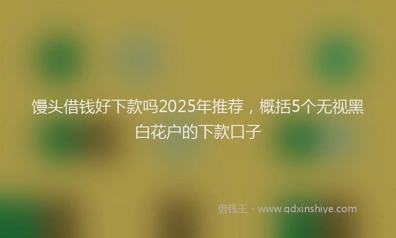 馒头借钱好下款吗2025年推荐，概括5个无视黑白花户的下款口子