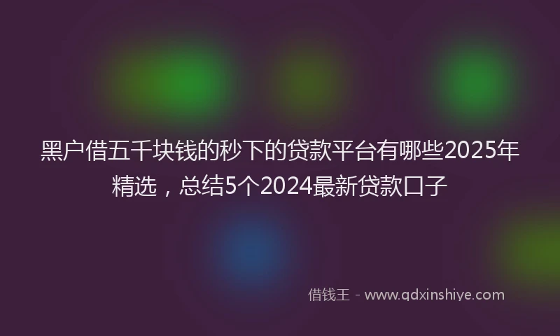 黑户借五千块钱的秒下的贷款平台有哪些2025年精选，总结5个2024最新贷款口子