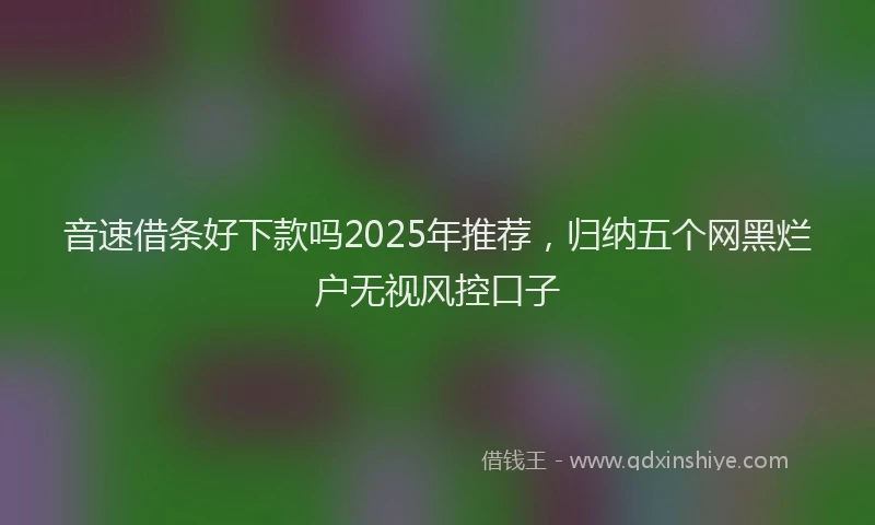 音速借条好下款吗2025年推荐，归纳五个网黑烂户无视风控口子