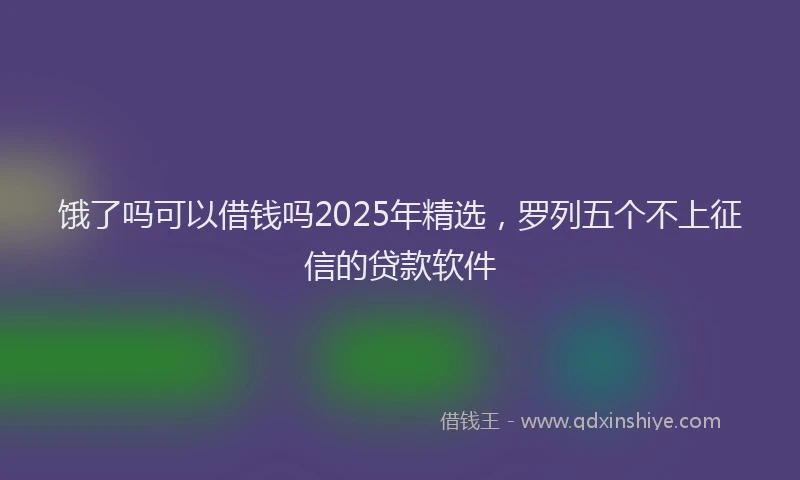饿了吗可以借钱吗2025年精选，罗列五个不上征信的贷款软件