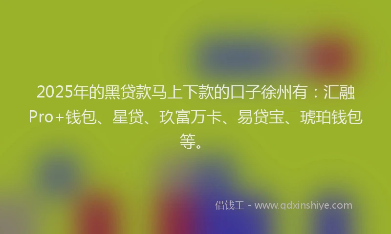 2025年的黑贷款马上下款的口子徐州有：汇融Pro+钱包、星贷、玖富万卡、易贷宝、琥珀钱包等。