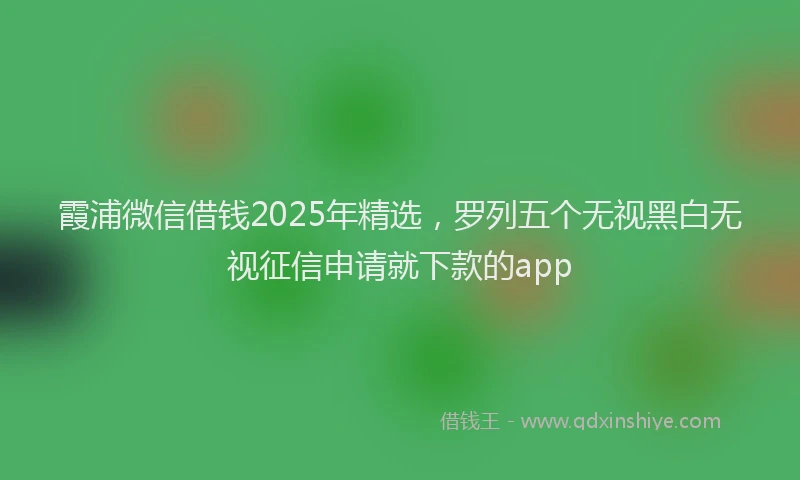 霞浦微信借钱2025年精选，罗列五个无视黑白无视征信申请就下款的app