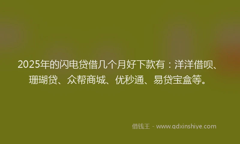 2025年的闪电贷借几个月好下款有：洋洋借呗、珊瑚贷、众帮商城、优秒通、易贷宝盒等。