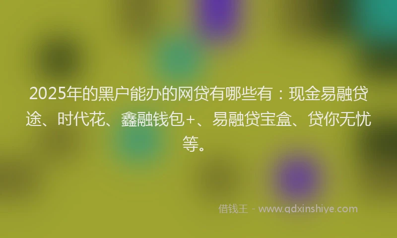 2025年的黑户能办的网贷有哪些有：现金易融贷途、时代花、鑫融钱包+、易融贷宝盒、贷你无忧等。
