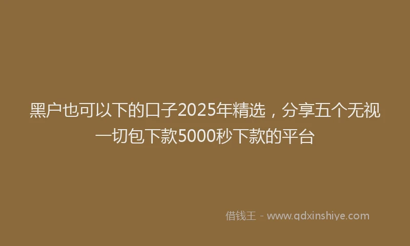 黑户也可以下的口子2025年精选，分享五个无视一切包下款5000秒下款的平台