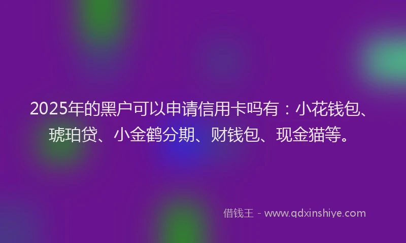 2025年的黑户可以申请信用卡吗有：小花钱包、琥珀贷、小金鹤分期、财钱包、现金猫等。