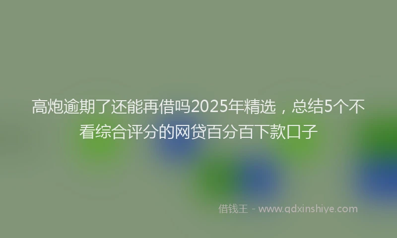高炮逾期了还能再借吗2025年精选，总结5个不看综合评分的网贷百分百下款口子