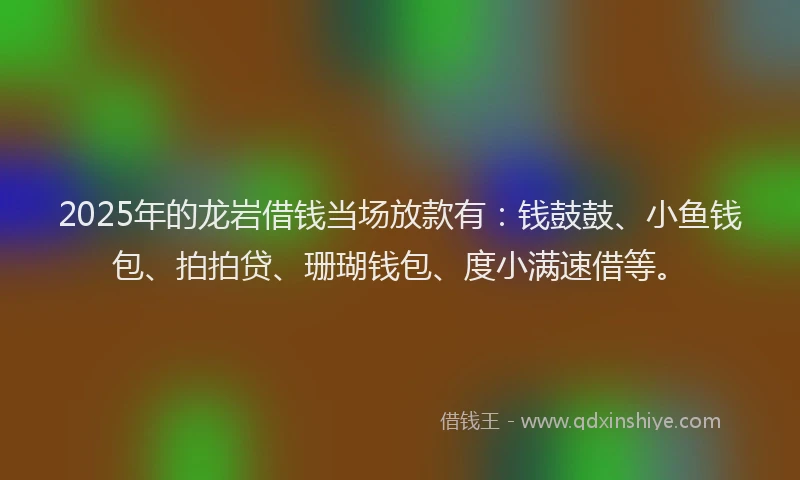 2025年的龙岩借钱当场放款有：钱鼓鼓、小鱼钱包、拍拍贷、珊瑚钱包、度小满速借等。