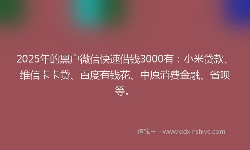2025年的黑户微信快速借钱3000有：小米贷款、维信卡卡贷、百度有钱花、中原消费金融、省呗等。