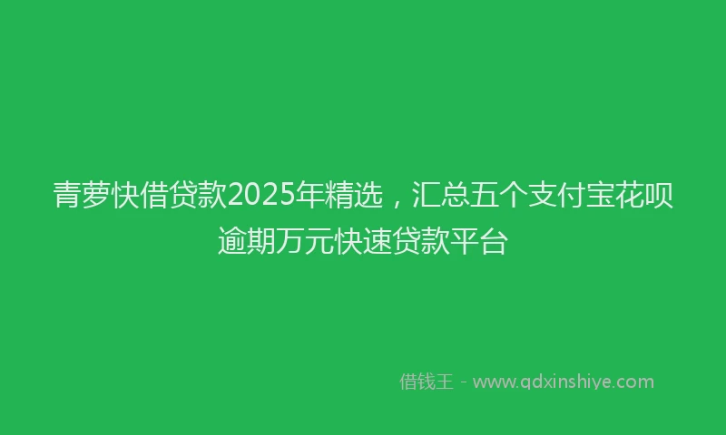 青萝快借贷款2025年精选，汇总五个支付宝花呗逾期万元快速贷款平台