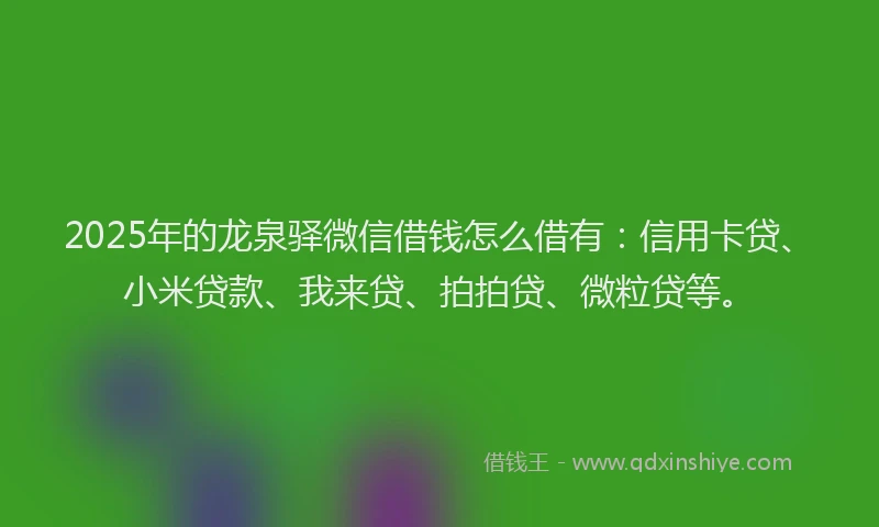 2025年的龙泉驿微信借钱怎么借有：信用卡贷、小米贷款、我来贷、拍拍贷、微粒贷等。