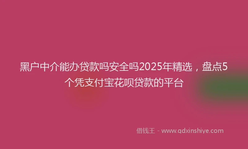 黑户中介能办贷款吗安全吗2025年精选，盘点5个凭支付宝花呗贷款的平台