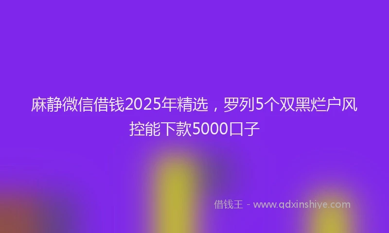 麻静微信借钱2025年精选，罗列5个双黑烂户风控能下款5000口子