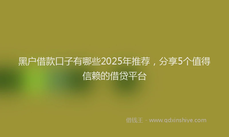 黑户借款口子有哪些2025年推荐，分享5个值得信赖的借贷平台