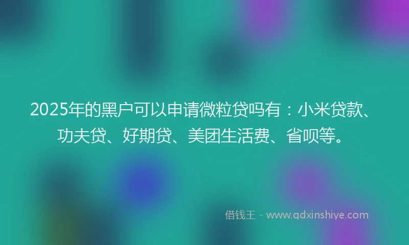 2025年的黑户可以申请微粒贷吗有：小米贷款、功夫贷、好期贷、美团生活费、省呗等。
