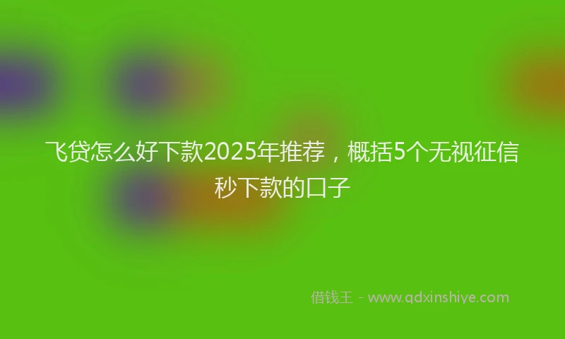 飞贷怎么好下款2025年推荐，概括5个无视征信秒下款的口子