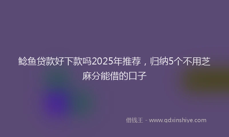 鲶鱼贷款好下款吗2025年推荐，归纳5个不用芝麻分能借的口子