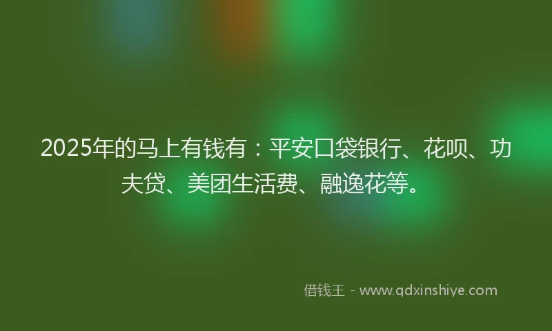 2025年的马上有钱有：平安口袋银行、花呗、功夫贷、美团生活费、融逸花等。