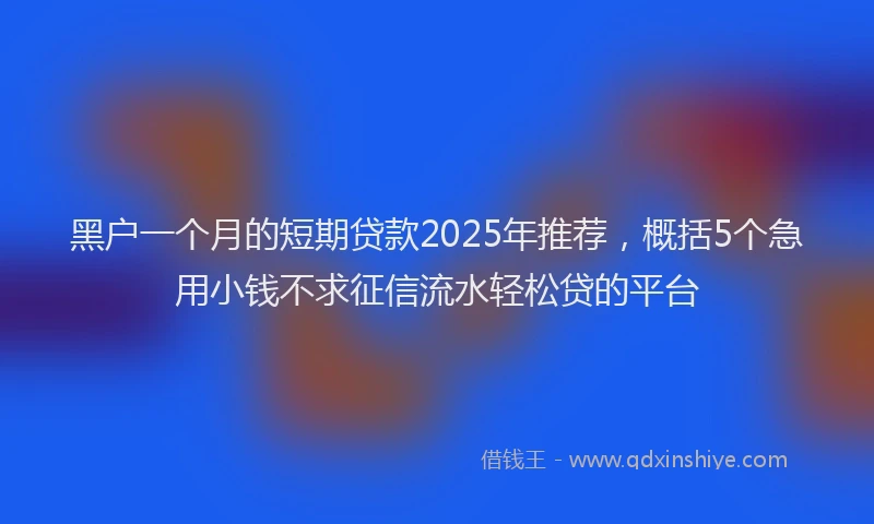 黑户一个月的短期贷款2025年推荐，概括5个急用小钱不求征信流水轻松贷的平台