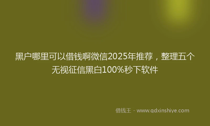 黑户哪里可以借钱啊微信2025年推荐，整理五个无视征信黑白100%秒下软件