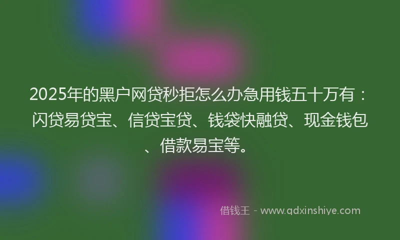 2025年的黑户网贷秒拒怎么办急用钱五十万有：闪贷易贷宝、信贷宝贷、钱袋快融贷、现金钱包、借款易宝等。