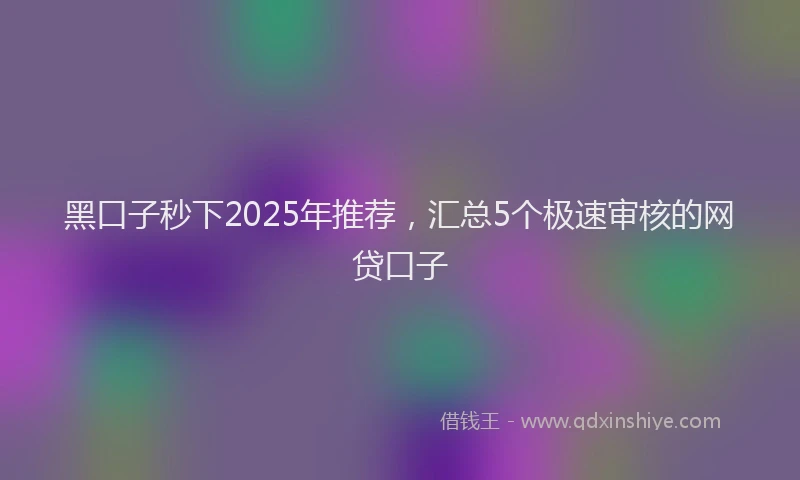 黑口子秒下2025年推荐，汇总5个极速审核的网贷口子