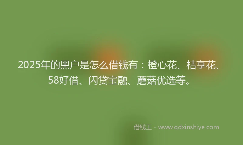 2025年的黑户是怎么借钱有：橙心花、桔享花、58好借、闪贷宝融、蘑菇优选等。