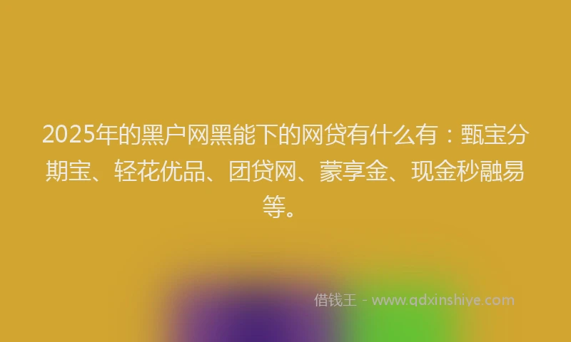 2025年的黑户网黑能下的网贷有什么有：甄宝分期宝、轻花优品、团贷网、蒙享金、现金秒融易等。